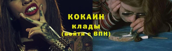PSILOCYBIN Иннополис