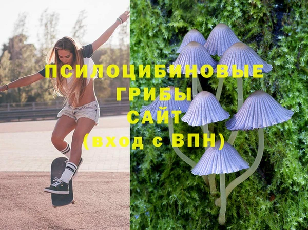 стафф Зеленокумск