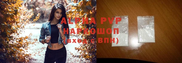 Альфа ПВП Инта