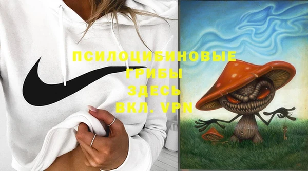 PSILOCYBIN Иннополис
